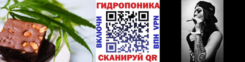 Canna-Cookies конопля  Купить закладки  Туран 