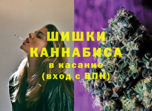 шишки Армянск