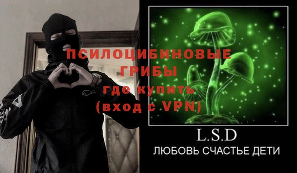 шишки Армянск