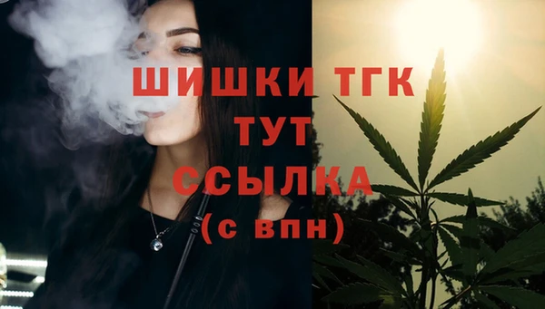 шишки Армянск