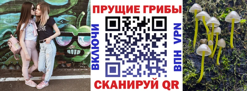 Купить где  Туран  Галлюциногенные грибы мухоморы 