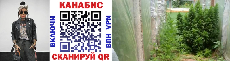 Купить  Туран  Бошки Шишки OG Kush 